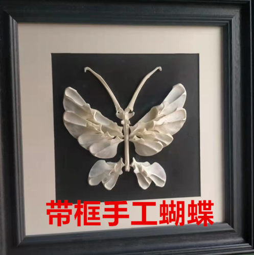 真实动物骨骼骨头蝴蝶相框材料标本摆件客厅装饰简约现代骨架复古