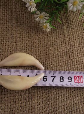 超大藏獒牙项链狼牙吊坠黑牙骨质真牙项链5厘米以上包邮汪汪