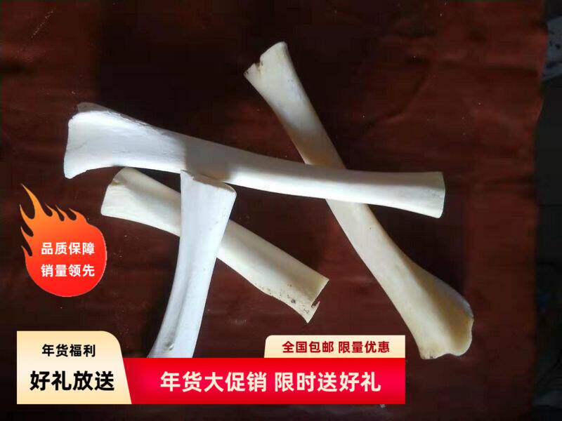 羊头骨工艺品 牦牛头骨装饰品 真牛羊头骨标本  特色手工羊骨标本