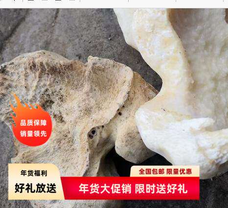 牛膝盖骨头骨装饰牦牛头骨装饰标本壁挂藏区标本特色壁饰真牛头骨