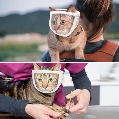 跨境新品宠物透明眼罩猫咪面罩清洁美容防舔防咬防叫猫咪透气口罩
