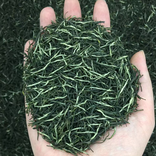 优级毛尖茶2026新茶信阳原产地