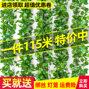 饰缠绕阳台吊顶假花藤蔓绿植物 仿真葡萄叶绿萝叶藤条树叶水管道装