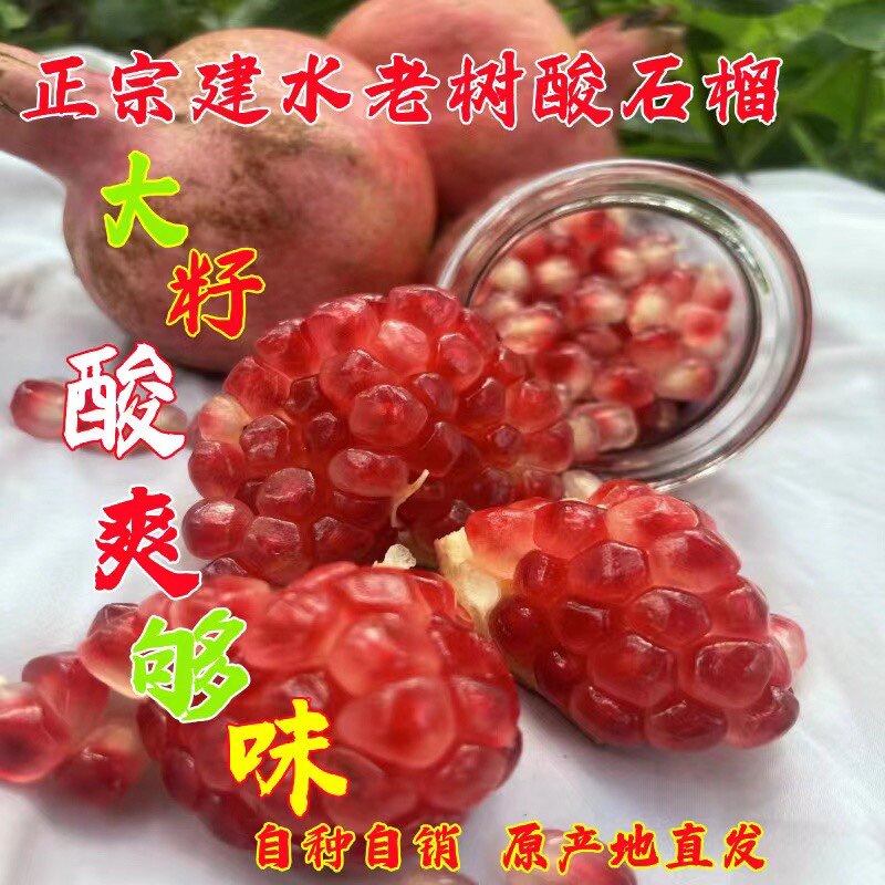 孕妇儿童水果酸甜云南建水新鲜