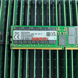 RA0 服务器内存 256G REG ECC DDR5 5600B PC5 2S4RX4 海力士