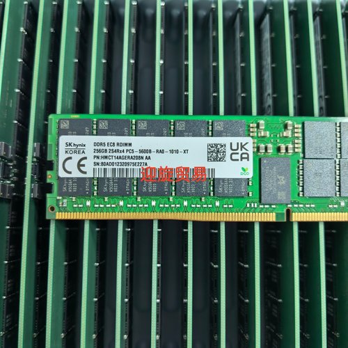 SK/海力士 256G 2S4RX4 PC5-5600B-RA0 DDR5 ECC REG 服务器内存