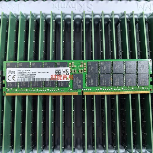 SK 海力士 256G 2S4X4 PC5-5600B-RA0 REG HMCT14AGERA208N 内存
