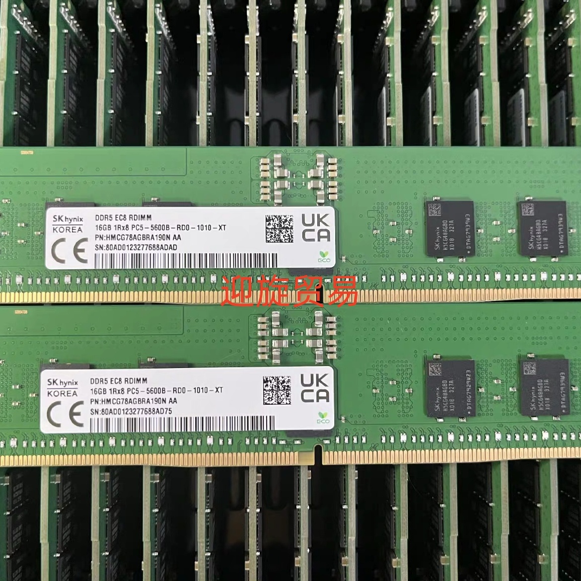 SK海力士 16G 1R×8 PC5-5600B REG HMCG78AGBRA190N 服务器内存
