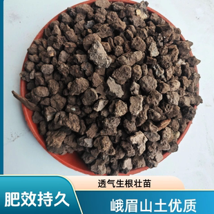 峨眉山仙土颗粒兰花土铺面君子兰蝴蝶兰  营养土透气壮苗生根酸性