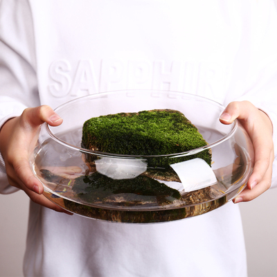 创意玻璃鱼缸水仙盆水培植物