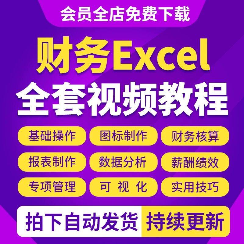 财务会计Excel表格教程函数图标核算数据处理分析绩效视频课程