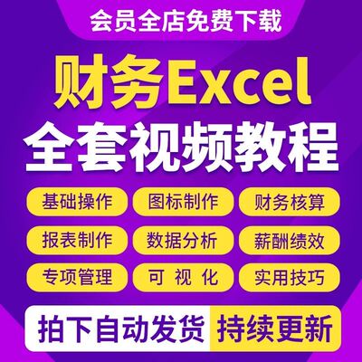 财务会计Excel表格教程函数图标核算数据处理分析绩效视频课程