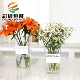 Прозрачное цветочное ведро ведро с бочкой с цветом