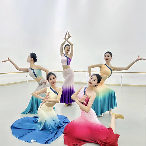 傣族服装女修身包臀演出服练习裙