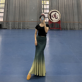 傣族舞蹈服傣族孔雀舞儿艺考表演服装 舞蹈练习童女演出服练功舞裙