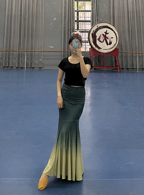 傣族舞蹈服傣族孔雀舞儿艺考表演服装舞蹈练习童女演出服练功舞裙