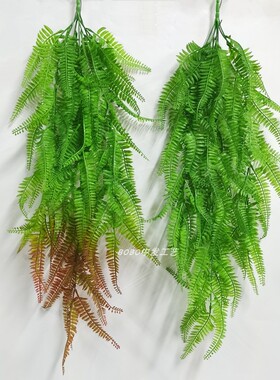 仿真波斯草绿植壁挂吊兰花垂吊绿色植物蕨类墙壁管道吊顶装饰蕨叶