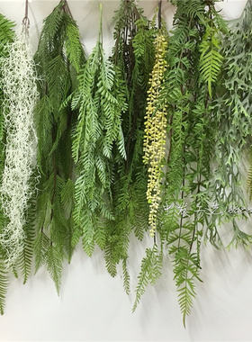 垂吊绿植吊顶蕨类墙壁管道藤条