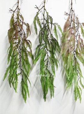 仿真波斯蕨壁挂吊兰花垂吊绿色植物蕨类墙壁管道吊顶装饰蕨叶藤条