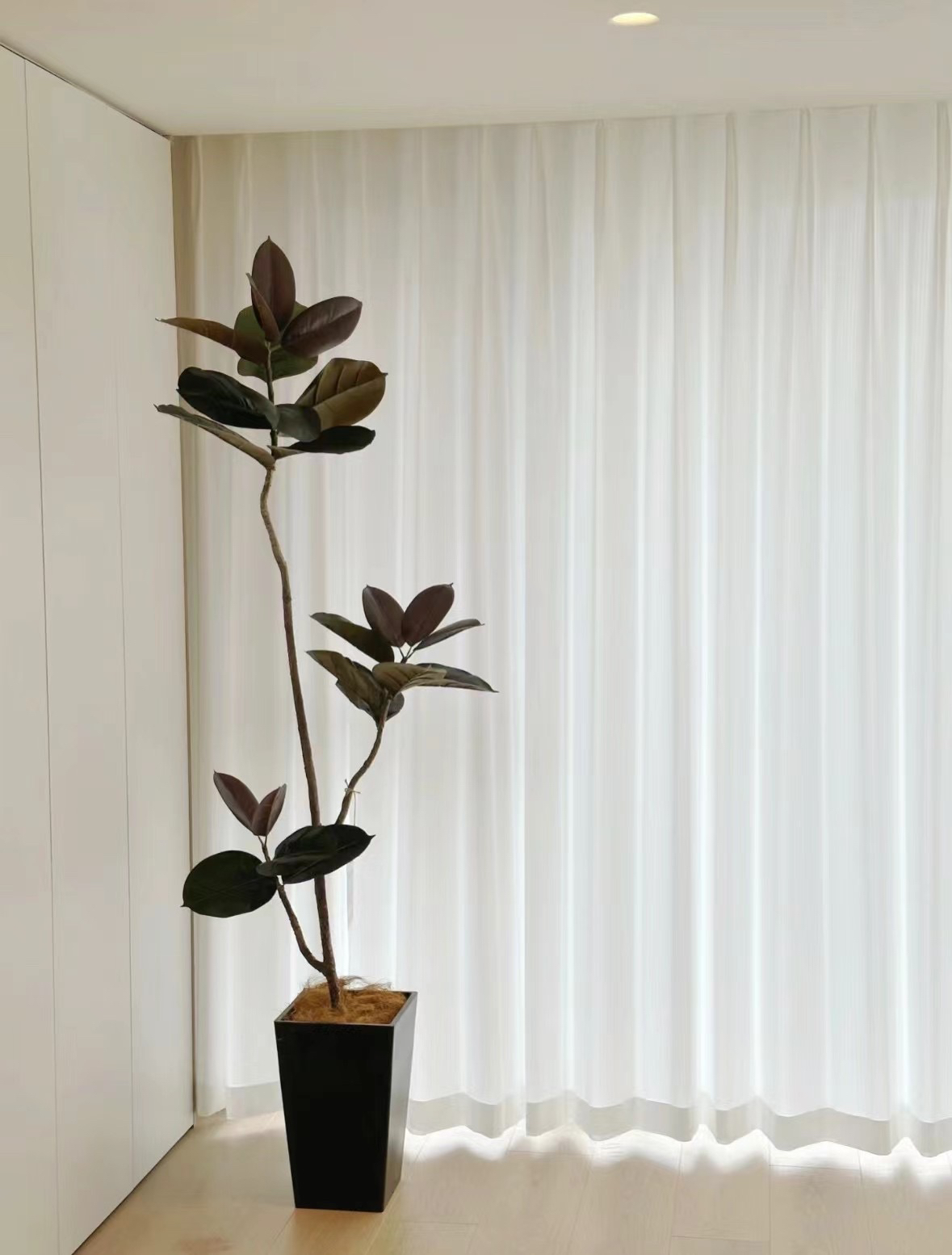 工程纱窗帘窗纱透光不透人客厅阳台卧室纯色窗纱彩色窗纱