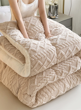 Upscale Thicken Fuzz Double Bed Dorm Quilt羊羔绒冬季保暖被子