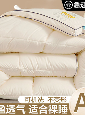 大豆纤维被子冬被棉被芯 Soybean fiber quilt winter quilt core