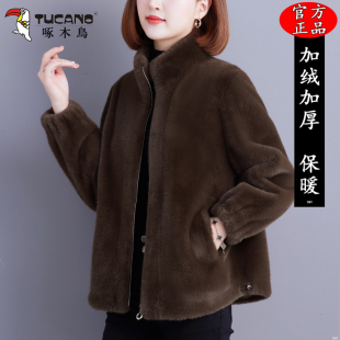宽松加厚保暖立领皮草上衣 新款 啄木鸟短款 皮毛一体外套女2025冬季