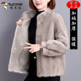 皮毛一体外套宽松加厚保暖立领皮草上衣女 短款 啄木鸟2025冬季 新款