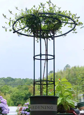 伞型花架户外不锈钢材质