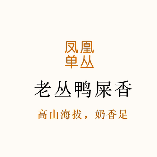 2026新茶！进阶鸭屎香 奶香足 香气都在水里很饱满  唐茶坊80g