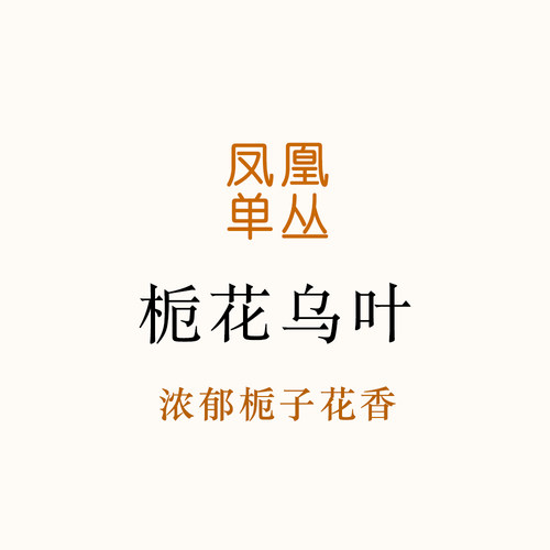 浓郁栀子花香！推荐，工艺好的乌叶 凤凰单丛经典品种 唐茶坊80g