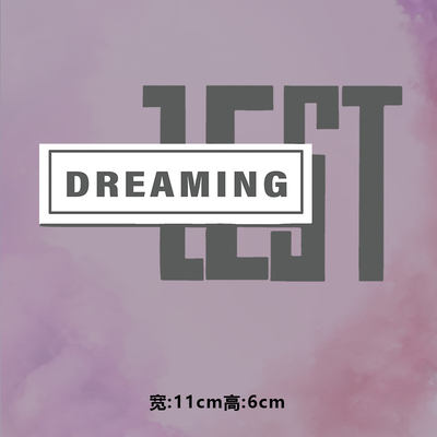 高级烫画图案新款时尚dreaming烫画贴印花衣服热转印白墨烫画布贴