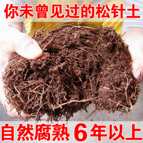 松针土纯松针天然腐熟腐叶土营养土腐殖土种花养花土种菜土君子兰 - 封面