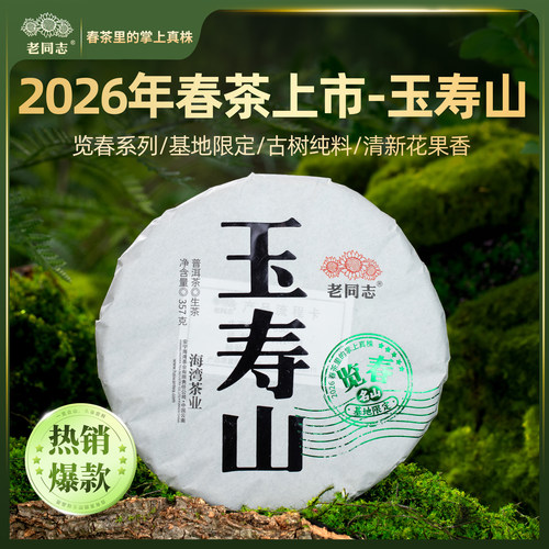 老同志普洱茶 基地限定春茶【2026览春玉寿山】古树生茶饼茶357克