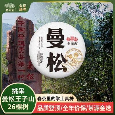 老同志普洱茶生茶古树春茶2025年曼松王子山 明前贡茶饼茶100克