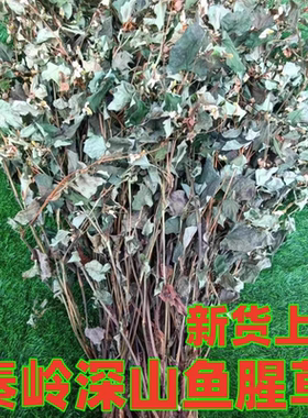 1斤新货带杆带叶带花蕊折耳根鱼腥草干叶干根泡水喝煮水喝煲汤叶