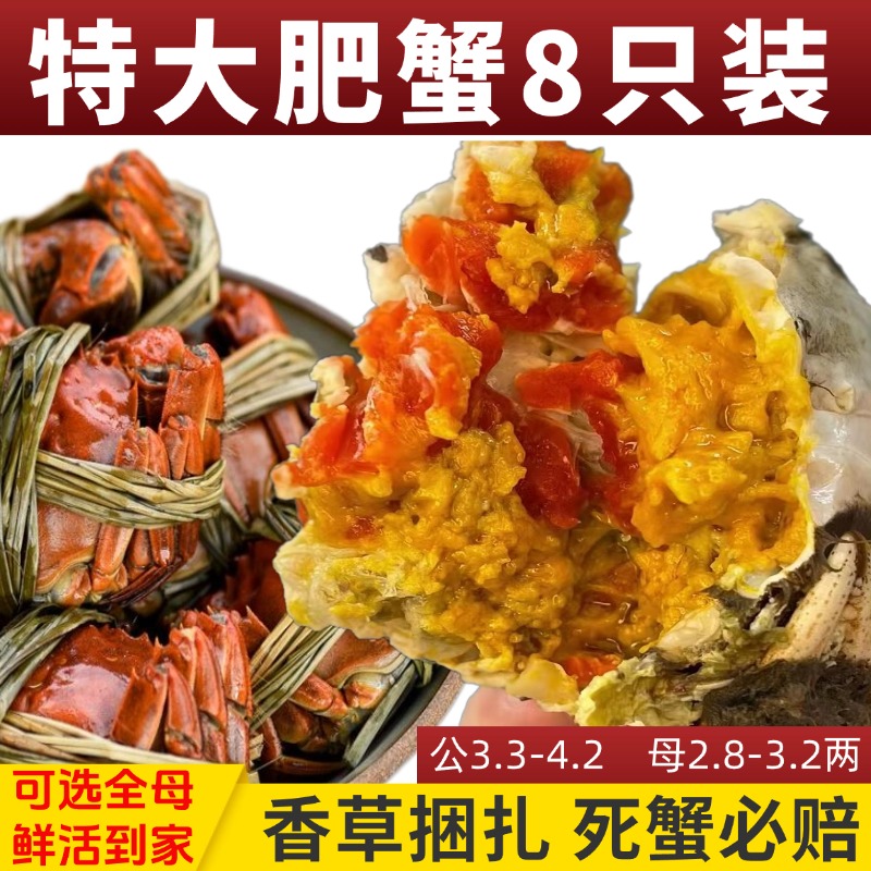大闸蟹鲜活10只全母兴化大闸蟹礼盒特大清水河蟹公母搭配去绳净重