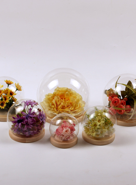 创意玻璃景观罩球形玻璃罩微景观花瓶特色礼物