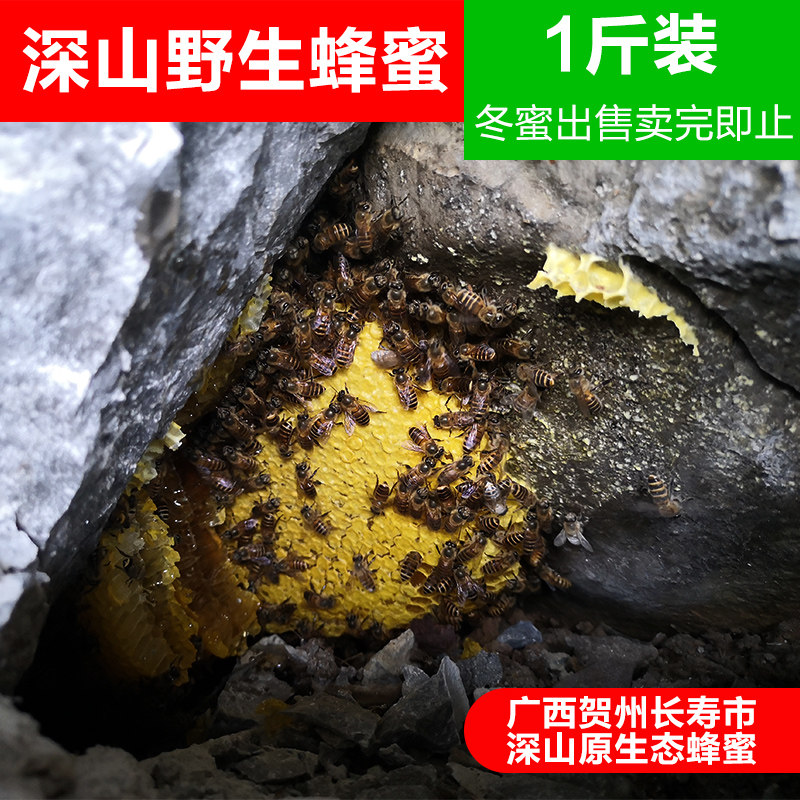 广西野生蜂蜜冬蜜蜂巢蜜九龙藤蜜鸭脚木蜜