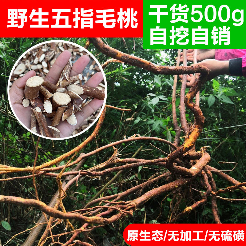 野生农家五指毛桃根天然椰奶香浓郁广东煲汤料干货食材 500g