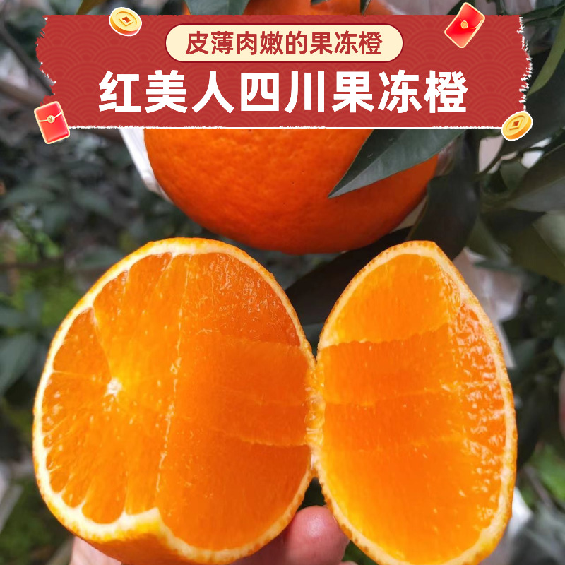 四川丹棱汁多肉嫩现摘爱媛橙包邮