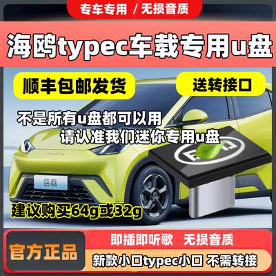 比亚迪海鸥车载u盘typec小口无损歌曲汽车车用海鸥专用u盘带音乐