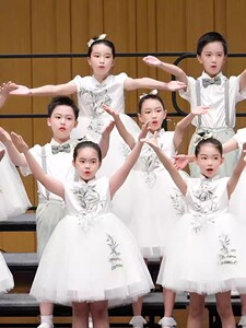 六一儿童大合唱演出服蓬蓬纱裙中小学生团诗歌朗诵服装男女童表演