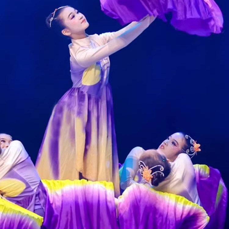 2025新款儿童古典舞演出服女飘逸扇子舞十八焕蝶梦蝶飞舞蹈表演服