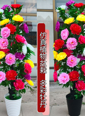 假树牡丹花盆栽客厅装饰大型