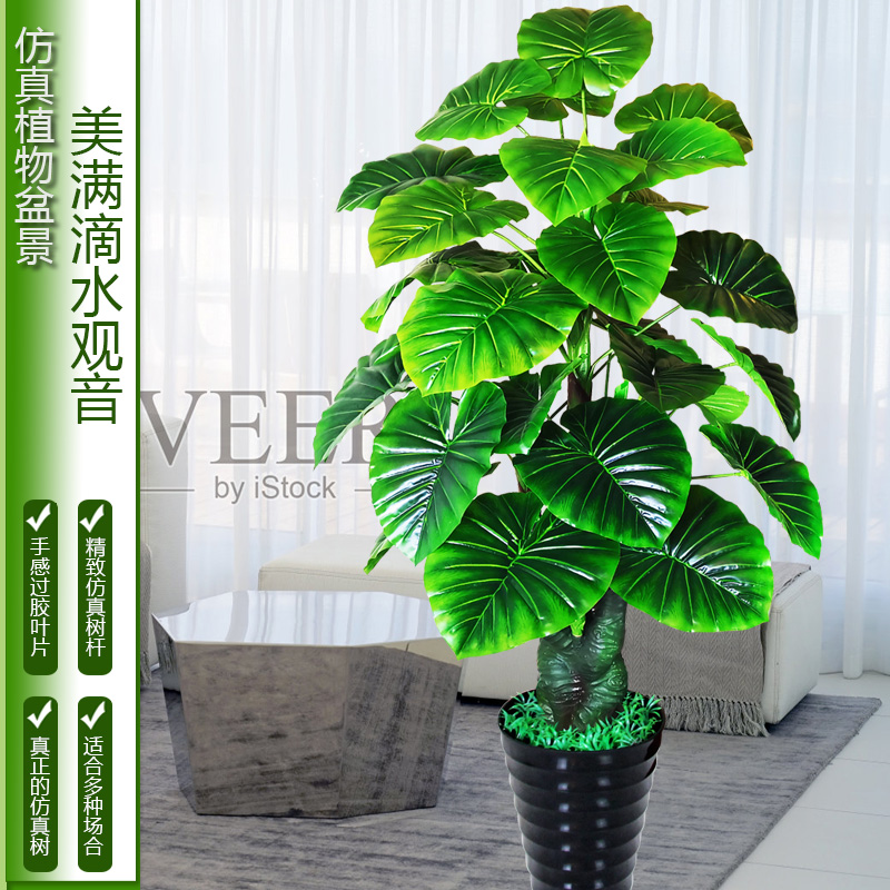 发财树滴水观音塑料落地仿真绿植