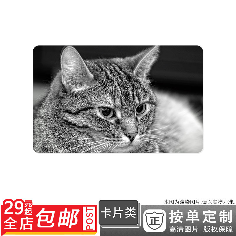 100331632 黑白胡须猫咪毛发宠物猫黑白的猫卡贴双面