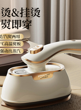 REWILD手持蒸汽挂烫机熨烫机家用小型干湿用电熨斗烫熨衣服1000W