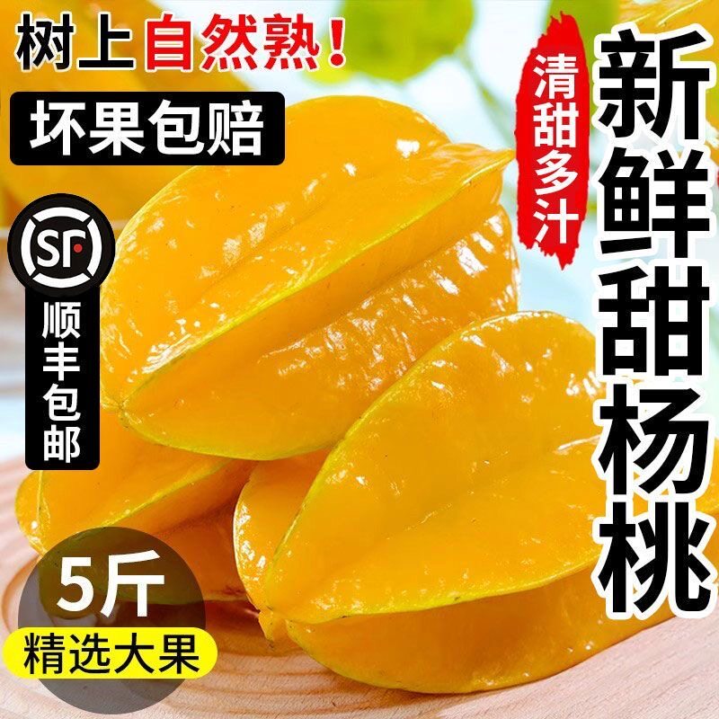 【顺丰包邮】正宗新鲜现摘甜杨桃大果新鲜应季水果树上熟孕妇水果
