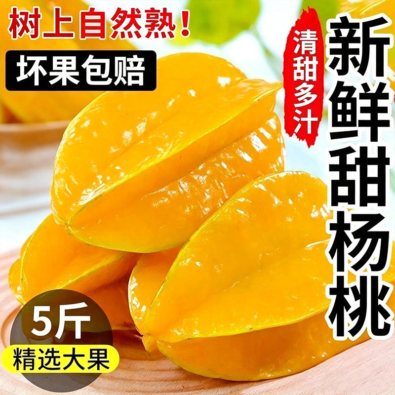 【精选包邮】正宗新鲜现摘甜杨桃大果新鲜应季水果树上熟孕妇水果